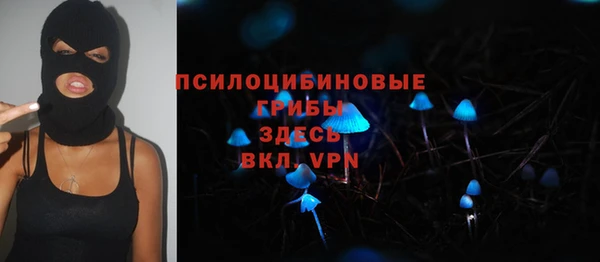 первитин Саяногорск