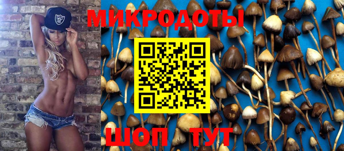Псилоцибиновые грибы MAGIC MUSHROOMS Можайск
